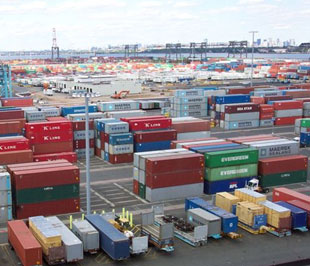 Thế mạnh của công ty này là mảng dịch vụ vận tải hàng không và mảng gom hàng lẻ đóng container trung chuyển đi các cảng trên thế giới.