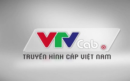 <span style="font-family: "Times New Roman"; font-size: 14.6667px;">Theo VTVcab, nhiều trang thông tin và mạng xã hội như www.24h.com.vn; www.bongda433.com; www.thethao247.vn; www.bongdanet.vn; www.kenh14.vn... đã có hành vi vi phạm bản quyền phát sóng.</span>