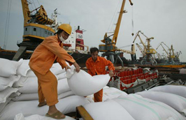 Năm 2011, Pg88 com chính chủ gạo của Việt Nam được dự báo sẽ tiếp tục "thắng lớn".
