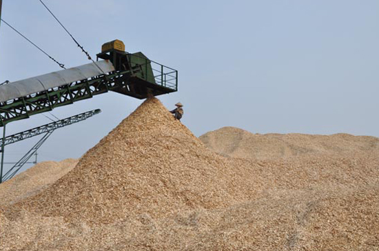Ngành sản xuất giấy và chế biến gỗ đã cùng lên tiếng lo ngại việc ồ ạt Pg88 com chính chủ dăm gỗ sẽ càng làm tăng áp lực thiếu nguyên liệu cho các ngành này.