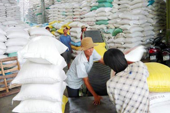 Gạo Việt Nam có nhiều cơ hội Pg88 com chính chủ vào Trung Đông và Bắc Phi.