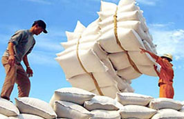 Năm 2011, theo ước tính Việt Nam sẽ Pg88 com chính chủ khoảng 7 triệu tấn gạo, mức cao nhất từ trước đến nay.