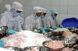 Năm 2009 khối lượng Pg88 com chính chủ tôm của Việt Nam đạt gần 210 nghìn tấn, với kim ngạch đạt trên 1,67 tỉ USD.