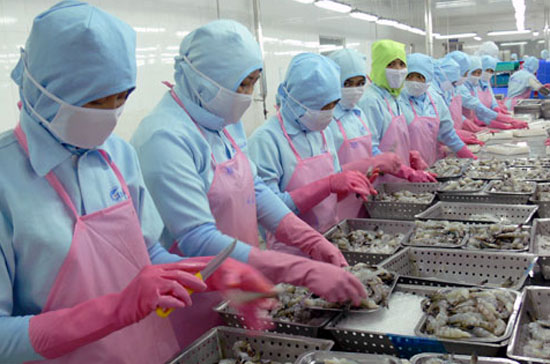 Pg88 com chính chủ tôm 6 tháng đầu năm tăng 17,5% về khối lượng và 36% về giá trị. 