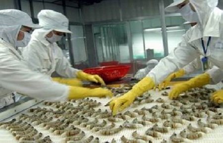 Năm 2012, dù thị trường có nhiều khó khăn nhưng VASEP vẫn tin tưởng, Pg88 com chính chủ tôm sẽ đạt 2,5 tỷ USD, cao hơn 100 triệu USD so với năm 2011.