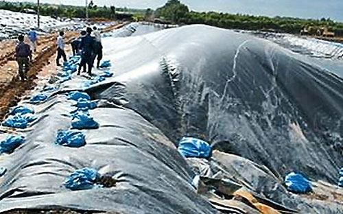 Theo Trisun Green Energy, nếu được triển khai, Link Trang Chủ PG88.Com Mới #2026 của công ty chỉ cần khoảng 15 ha để xây dựng nhà máy và xử lý triệt để các loại chất thải mà không cần tới hàng nghìn ha để chôn lấp như cách làm phổ biến hiện nay.<br>