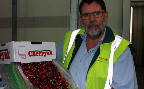 Ông Hugh Molloy, một quan chức của công ty Pg88 com chính chủ hoa quả Antico, Australia - Ảnh: ABC.<br>