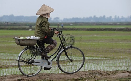 Chính phủ yêu cầu, khi tiến hành thu hồi đất cho mục đích an ninh, quốc phòng và dịch vụ 
công… sẽ áp dụng chính sách hỗ trợ đảm bảo lợi ích chính đáng của người 
quản lý sử dụng đất. 