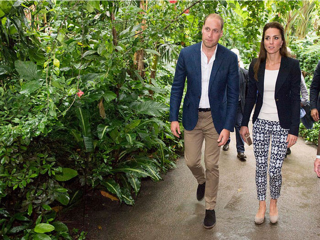 Những trang phục có giá dưới 100 đô la của công nương Kate Middleton - Ảnh 10.