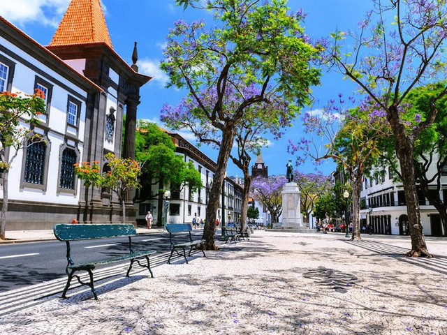 Quần đảo Madeira được vinh danh là điểm đến tốt nhất ở châu Âu  - Ảnh 15.