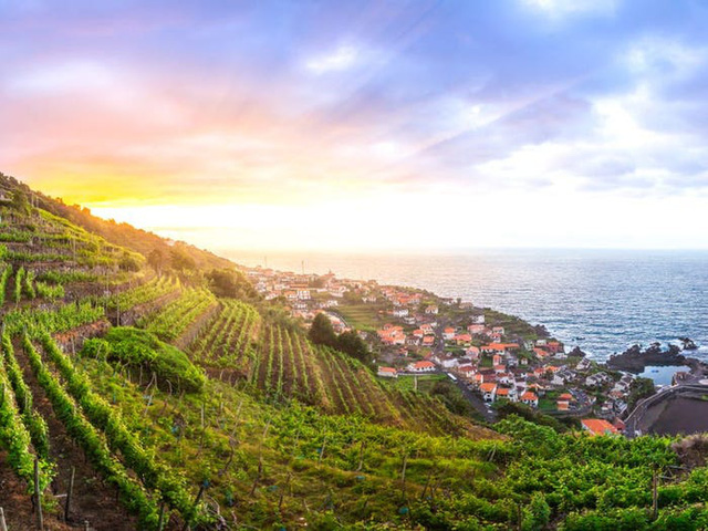 Quần đảo Madeira được vinh danh là điểm đến tốt nhất ở châu Âu  - Ảnh 20.