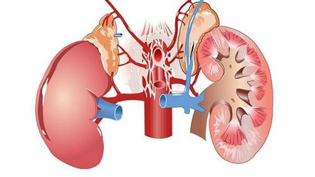 Làm sao để thận luôn khỏe? - Ảnh 1.