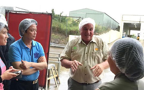“Đứng trên đất Tây Nguyên, chân tôi như mọc rễ”