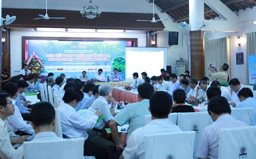 Nông sản Tây Nguyên mới mạnh về sơ chế
