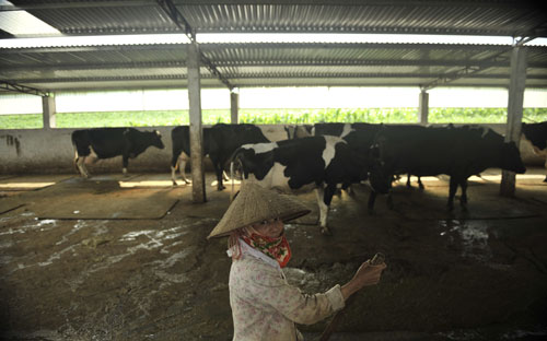5 năm “gieo” chữ tín, “gặt” niềm tin 2