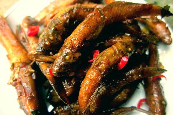 Ngày mưa lạnh thèm cá bống sông Trà - Ảnh 2.