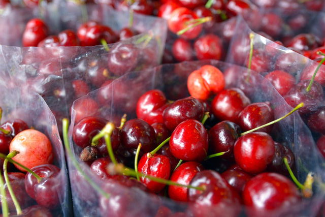 Người tiêu dùng dễ nhầm lẫn cherry Mỹ và Trung Quốc - Ảnh 3.