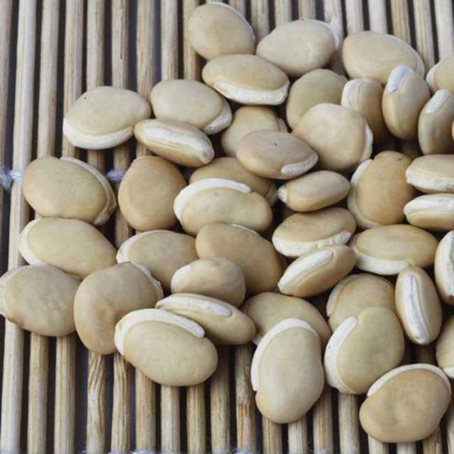 Những bài thuốc phòng say nắng từ dân gian - Ảnh 6.