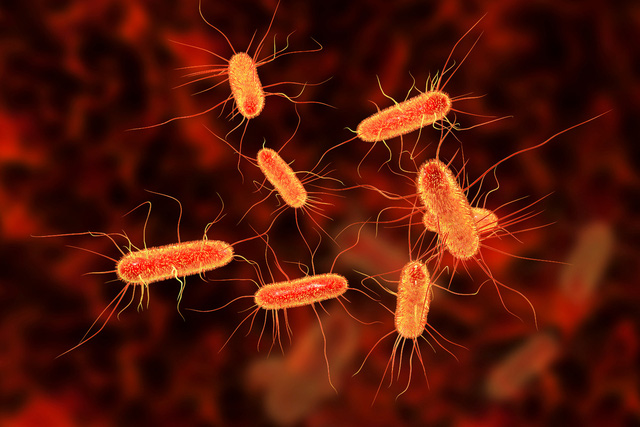9/10 túi đồ trang điểm nhiễm khuẩn E.coli - Ảnh 1.
