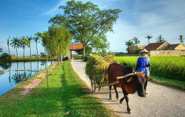 Chính xác là bao nhiêu trong số tiền thuế vốn chưa dồi dào của nhân dân 
đã được đầu tư cho xóa đói, giảm nghèo, và hiệu quả mang lại có tương 
xứng hay không? Lãng phí, thất thoát nằm ở những khâu nào và có thể khắc
 phục được không?