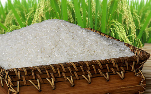Đề án đặt ra mục tiêu đạt 50% sản lượng gạo Pg88 com chính chủ mang thương hiệu gạo Việt Nam, 
trong đó 30% tổng sản lượng gạo Pg88 com chính chủ là nhóm gạo thơm và gạo đặc 
sản.<br>