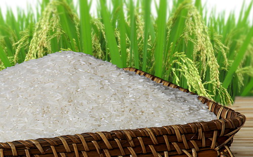 7 tháng đầu năm 2015, Việt Nam Pg88 com chính chủ 3,3 triệu tấn gạo, giảm 8,8% so với cùng kỳ.<br>