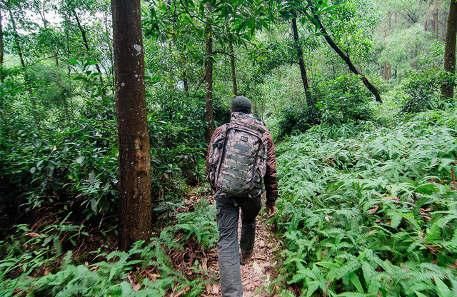 8 địa điểm để bạn làm quen với trekking tại Việt Nam - Ảnh 2.