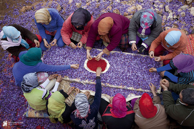 Saffron – vàng đỏ trong lãnh địa ẩm thực - Ảnh 3.