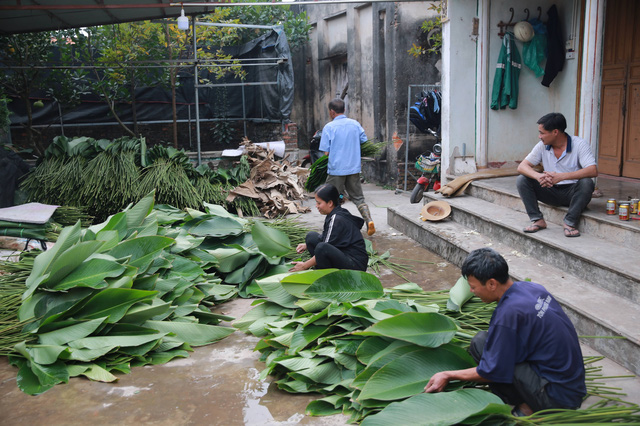 Làng lá dong Tràng Cát: những ngày bận rộn nhất trong năm - Ảnh 5.