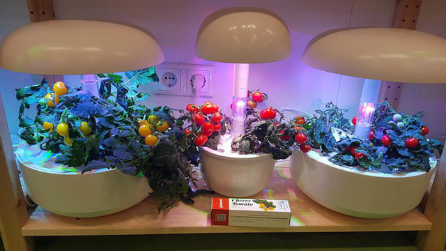 Có gì hay tại triển lãm IFA 2019? - Ảnh 5.
