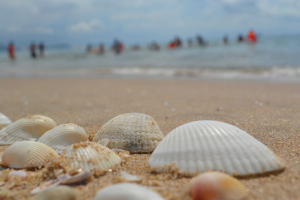 6PG88VN
