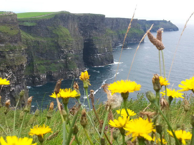 Vách đá Moher mùa hoa bồ công anh nở - Ảnh 5.