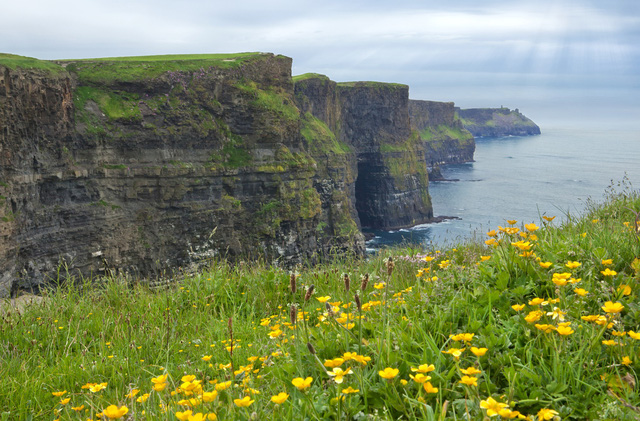 Vách đá Moher mùa hoa bồ công anh nở - Ảnh 10.