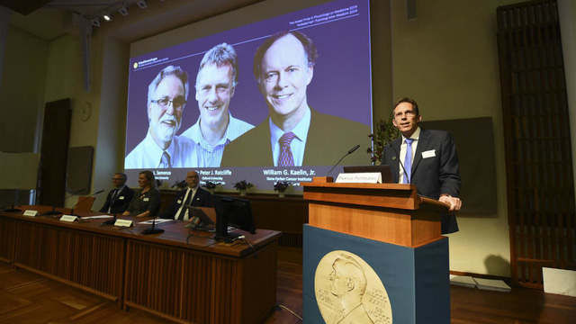 Giải Nobel Y học 2019 đã có chủ - Ảnh 1.