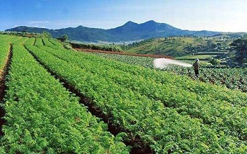 Qua khảo sát, Pg88 com chính chủ Nhà nước dự kiến sẽ lựa chọn khoảng 20 mô hình liên kết giữa 6Pg88.con độc quyền mỗi ngày với hộ nông dân để thí điểm cho vay theo chương trình này.<br>
