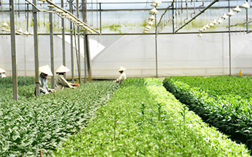 Lãi suất cho vay tối đa đối với các Link Trang Chủ PG88.Com Mới #2026 vay là 7%/năm đối với ngắn 
hạn, trung hạn là 10%/năm và dài hạn là 10,5%/năm. Thời hạn cho vay do 
Pg88 com chính chủ PG88 Sòng bạc trực tuyến TOP 1 Việt Nam | Casino, Nổ Hũ và khách hàng thỏa thuận, phù hợp với mục đích sử 
dụng vốn vay và quy định của pháp luật.
