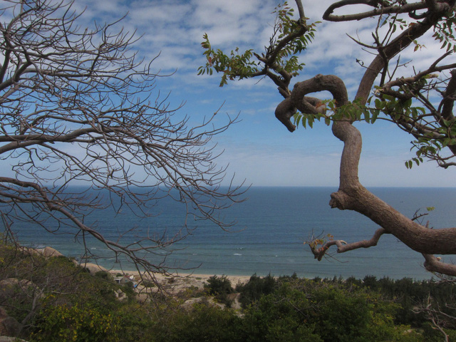 Phan Rang: Đi qua hoang mạc đến biển Vĩnh Hy - Ảnh 4.