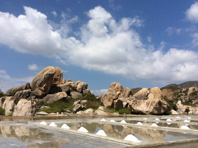 Phan Rang: Đi qua hoang mạc đến biển Vĩnh Hy - Ảnh 1.