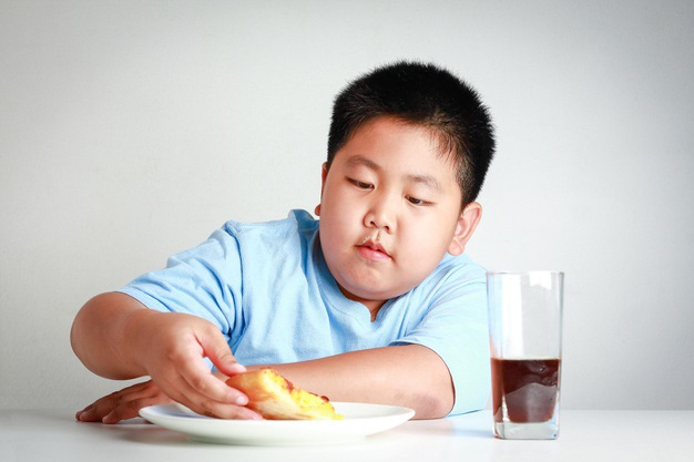 Việt Nam đang chịu gánh nặng kép về dinh dưỡng - Ảnh 1.