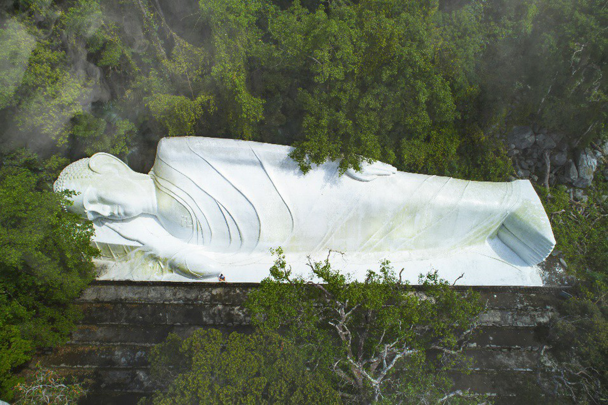6PG88VN