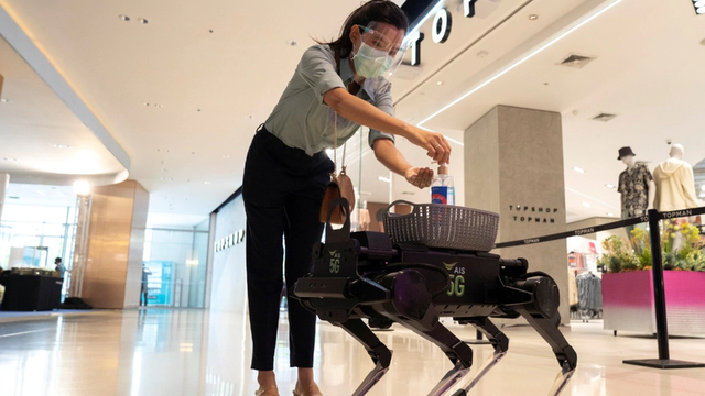 Mùa mua sắm cuối năm: robot sẽ là nhân vật chính? - Ảnh 2.