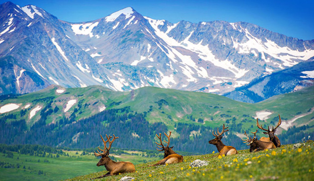 Ngắm mùa thu kỳ diệu trên đỉnh Rocky Mountain - Ảnh 1.