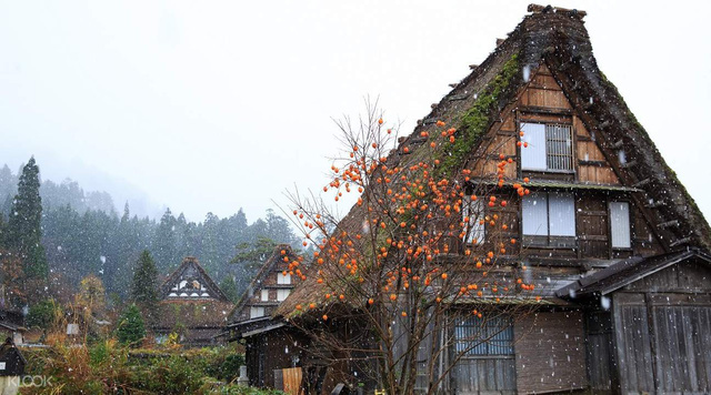 Shirakawa-go: làng cổ đẹp như tranh của Nhật Bản - Ảnh 4.