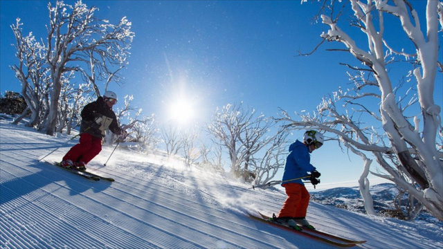 Đến Snowy Mountains để ngắm tuyết giữa mùa hè - Ảnh 6.