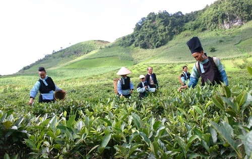  Chính phủ quyết định miễn tiền sử dụng đất trong hạn mức giao đất ở đối
 với hộ gia đình, cá nhân tại địa bàn có điều kiện PG88 ⭐ Link trang chủ số 1 nhà cái PG88 com casino slot xã hội đặc 
biệt khó khăn, vùng biên giới, hải đảo.
