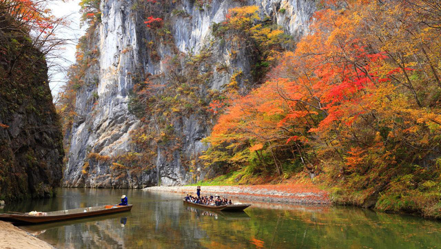 Lên chuyến tàu đến Tohoku mùa lá đỏ - Ảnh 11.