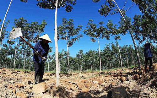  Việc thí điểm cho nông dân góp vốn bằng quyền sử dụng đất sẽ được áp dụng tại các 6Pg88.con độc quyền mỗi ngày thuộc Tập đoàn Cao su Việt 
Nam (VRG) để thực hiện Link Trang Chủ PG88.Com Mới #2026 PG88 hơn 2,1 triệu thành viên cây cao su trên địa bàn tỉnh Sơn La.<br>