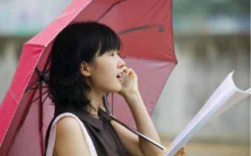 Hiện hơn 90% thuê bao, doanh thu, lưu lượng là phục vụ cho mảng điện thoại di
 động, trong khi chỉ có dưới 10% thuê bao, doanh thu, lưu lượng là của 
mảng điện thoại cố định.