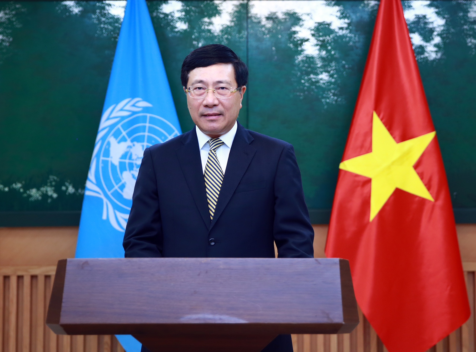 Phó Thủ tướng Phạm Bình Minh - Ảnh: Bộ Ngoại giao