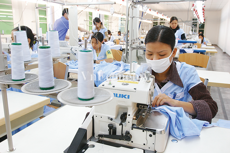 PG88 Link Dễ Nhớ Pg88.com nhỏ dễ bị tổn thương nhất trong khủng hoảng.